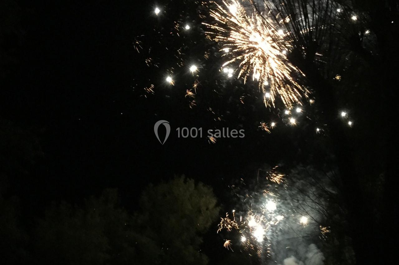Feux d'artifice illuminant le ciel nocturne avec des arbres sombres en arrière-plan.
