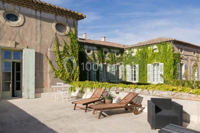 Miniature Location salle Pomérols (Hérault) - Domaine Fon de Rey #12 Piscine extérieure entourée de chaises longues, de végétation luxuriante et de grands arbres sous un ciel bleu.