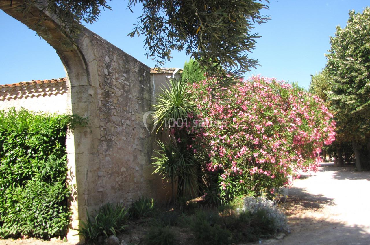 Location salle Pomérols (Hérault) - Domaine Fon de Rey #41 Mur en pierre avec arche, entouré de végétation méditerranéenne, dont des lauriers-roses en fleurs et des arbres.