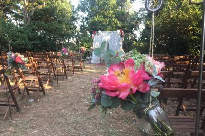Miniature Location salle Pomérols (Hérault) - Domaine Fon de Rey #59 Piscine extérieure entourée de chaises longues, de végétation luxuriante et de grands arbres sous un ciel bleu.