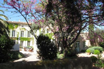 Miniature Location salle Pomérols (Hérault) - Domaine Fon de Rey #13 Piscine extérieure entourée de chaises longues, de végétation luxuriante et de grands arbres sous un ciel bleu.