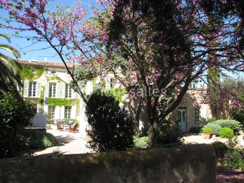 Location salle Pomérols (Hérault) - Domaine Fon de Rey #13 Façade d'une maison en pierre entourée de végétation, avec un arbre en fleurs et une cour aménagée.