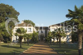Château De Lassalle - photo 5
