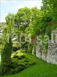Château De Lassalle - galerie - photo 2
