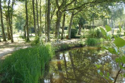 Miniature Location salle Neuvy-sur-Barangeon (Cher) - Domaine De La Grande Garenne #20 Location salle Neuvy-sur-Barangeon (Cher) - Domaine De La Grande Garenne #24