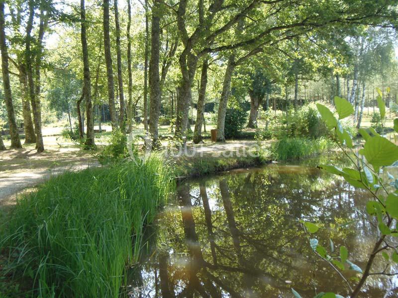 VVF Domaine De La Grande Garenne - galerie - photo 22