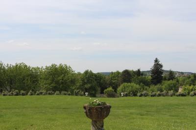 Salon rustique avec murs en pierre, canapés en cuir, table basse et porte ouverte donnant sur un jardin ensoleillé.