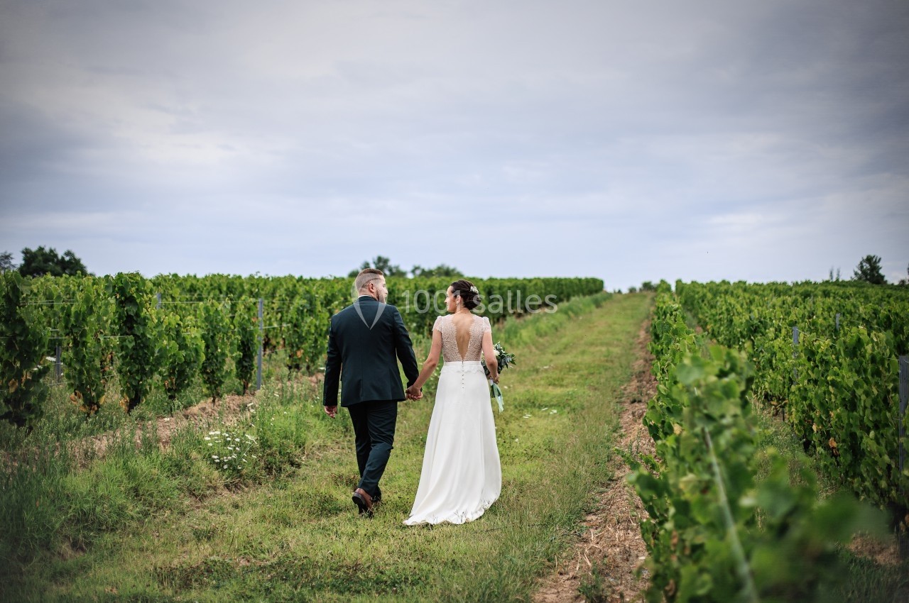 Un couple en tenue de mariage marche main dans la main au milieu de vignes sous un ciel nuageux.
