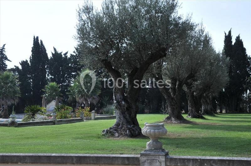 Location salle Aimargues (Gard) - Domaine du Grand Malherbes #24