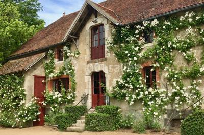 Location salle Saint-Pourçain-sur-Besbre (Allier) - Château de Beauvoir #21