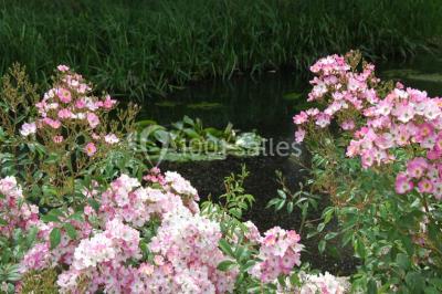 Location salle Saint-Pourçain-sur-Besbre (Allier) - Château de Beauvoir #21