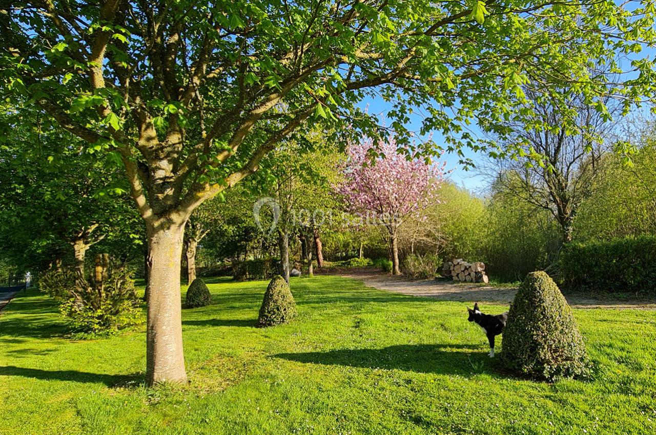 Un jardin verdoyant avec des arbres en fleurs, des buissons taillés et un chien noir sur une pelouse ensoleillée.
