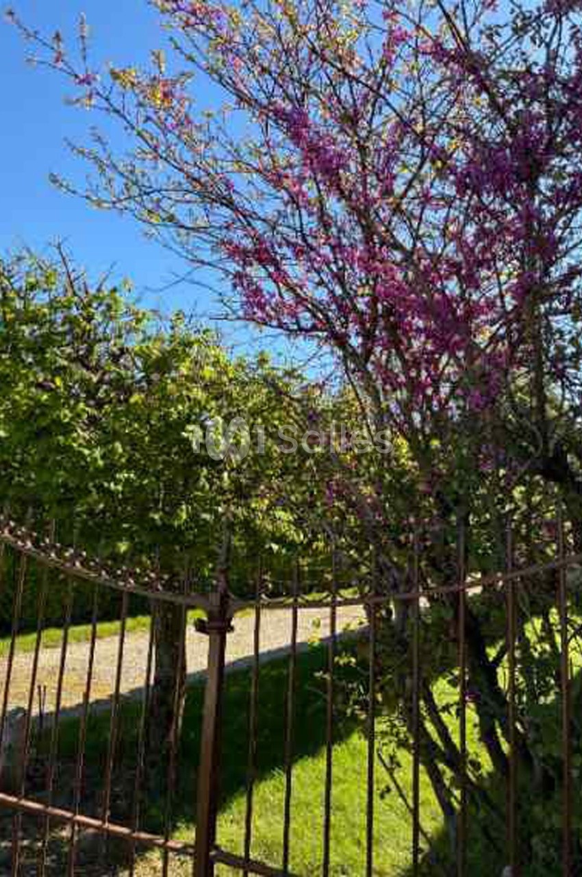 Arbre en fleurs roses près d'une clôture en fer forgé, avec un chemin et de la verdure en arrière-plan.