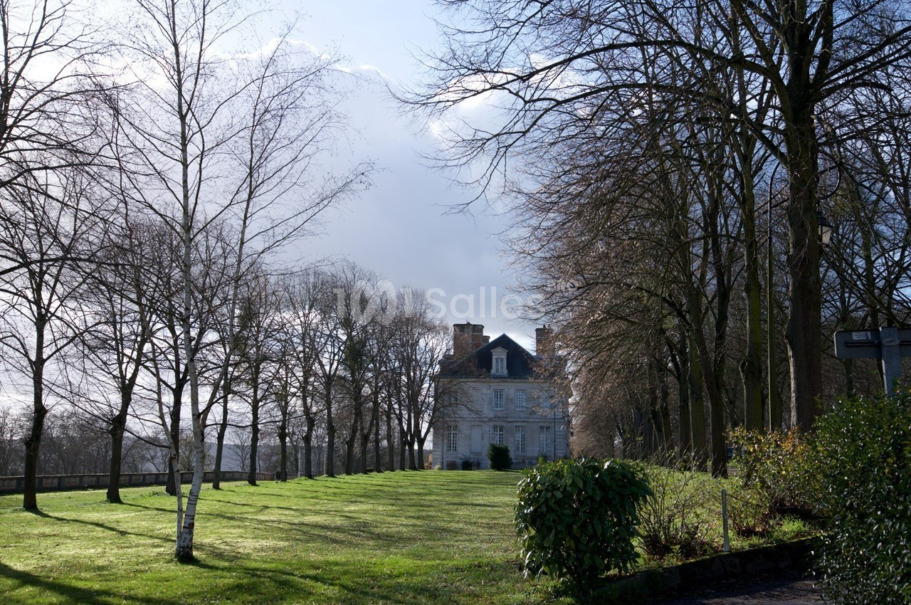 Manoir entouré d'arbres dénudés en hiver, avec une pelouse verte éclairée par une lumière douce.