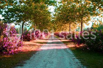 Location salle Opio (Alpes-Maritimes) - Le Pré L'eveque #23