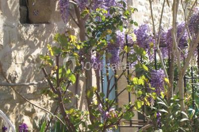 Miniature Location salle Nîmes (Gard) - Le Mas de Ponge #13 Location salle Nîmes (Gard) - Le Mas de Ponge #26