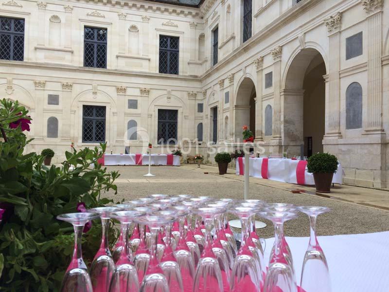 Location salle Ancy-le-Franc (Yonne) - Château d'Ancy Le Franc #6