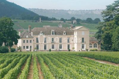 Château De Meursault - photo 1