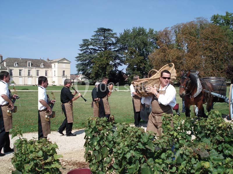 Château De Meursault - galerie - photo 4