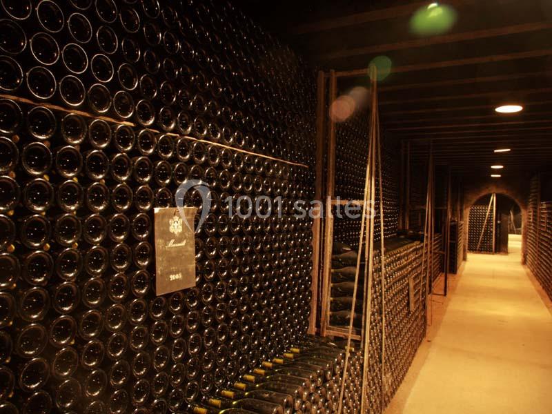 Château De Meursault - galerie - photo 10