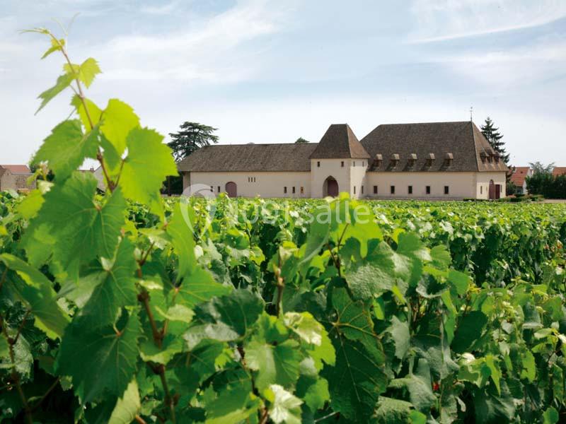 Château De Marsannay - galerie - photo 1