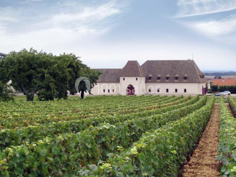 Château De Marsannay - galerie - photo 2