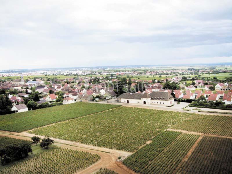 Château De Marsannay - galerie - photo 9