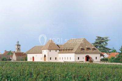 Château De Marsannay - photo 2
