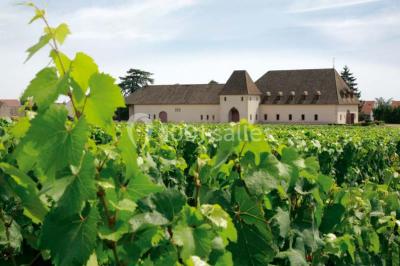 Château De Marsannay - photo 1