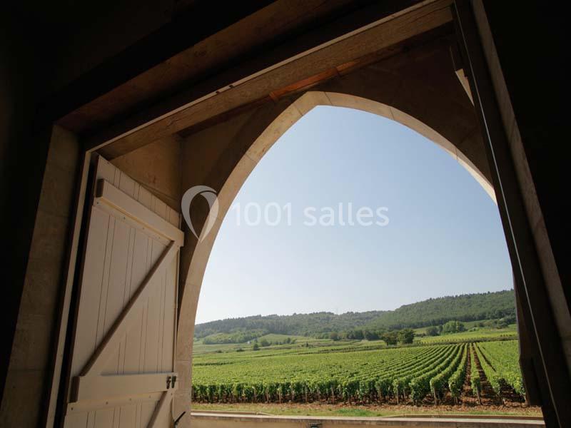 Château De Marsannay - galerie - photo 5
