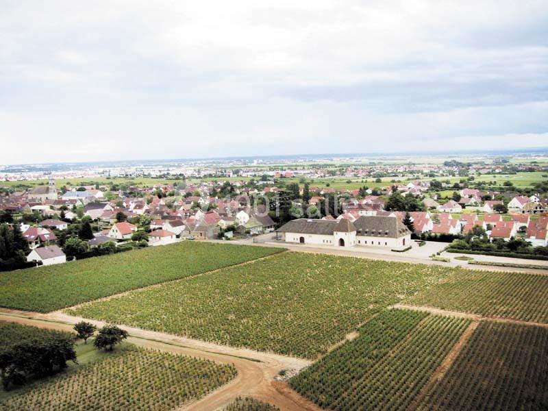 Château De Marsannay - galerie - photo 10
