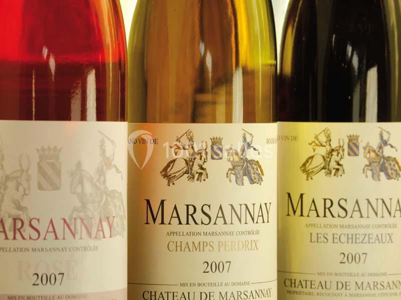 Château De Marsannay - galerie - photo 13