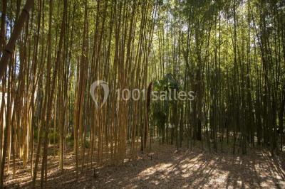 Miniature Location salle Montpellier (Hérault) - Château De Flaugergues #18 Location salle Montpellier (Hérault) - Château De Flaugergues #18