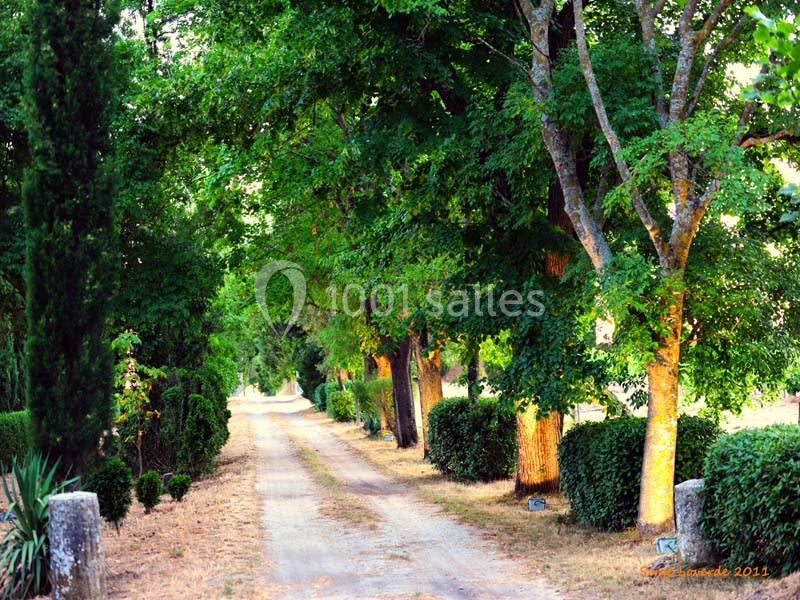Location salle La Cadière-d'Azur (Var) - Château de Rochebelle - Var #10 Chemin de terre bordé d'arbres et de haies verdoyantes sous une lumière douce en fin de journée.