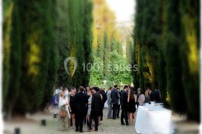 Miniature Location salle La Cadière-d'Azur (Var) - Château de Rochebelle - Var #14 Un couple en tenue de mariage se tient la main en marchant dans un vignoble verdoyant.