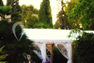 Miniature Location salle La Cadière-d'Azur (Var) - Château de Rochebelle - Var #18 Un couple en tenue de mariage se tient la main en marchant dans un vignoble verdoyant.