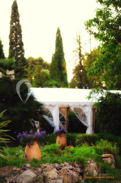 Location salle La Cadière-d'Azur (Var) - Château de Rochebelle - Var #18 Un jardin méditerranéen avec des pots en terre cuite, des fleurs et une tente blanche entourée de verdure.