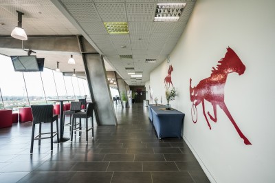 Les Hippodromes de Lyon - photo 4