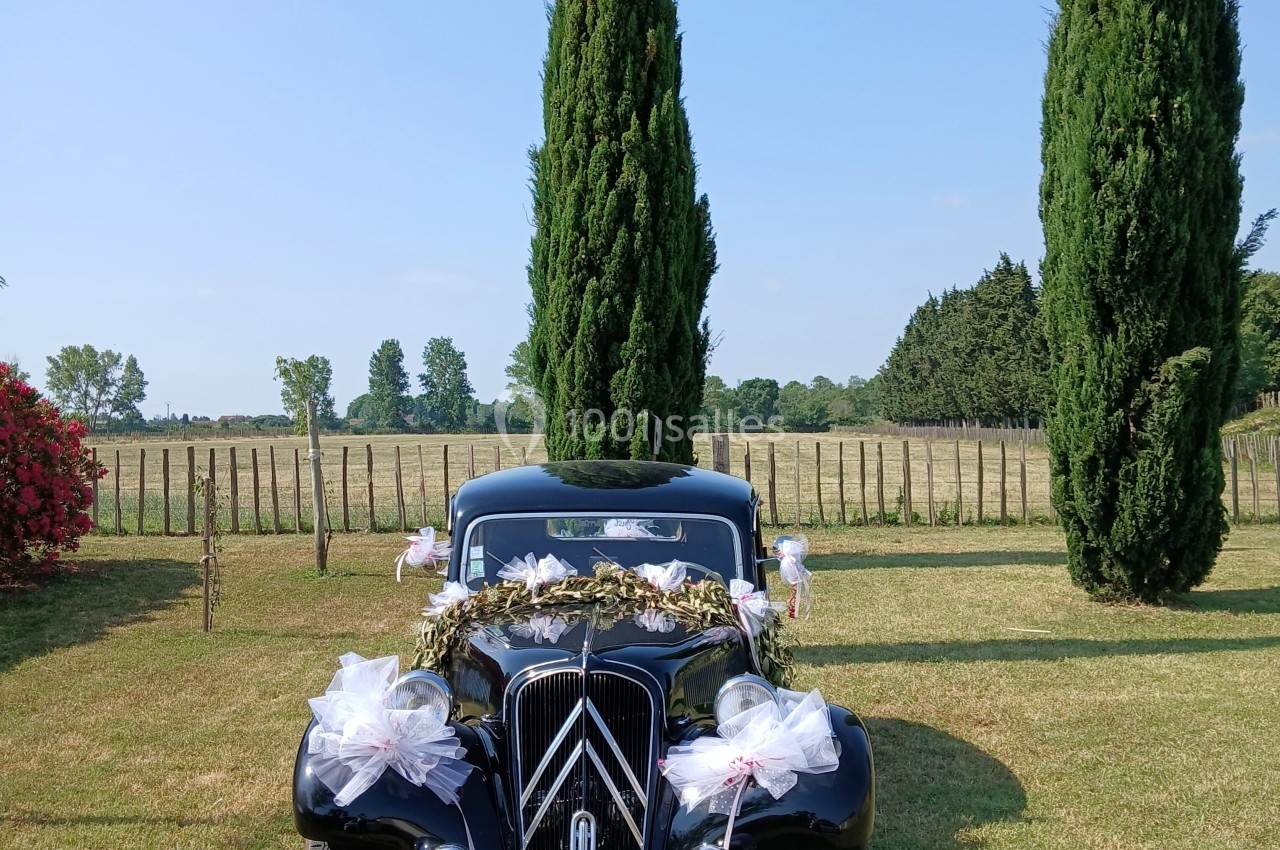 Voiture ancienne noire décorée pour un mariage, stationnée sur une pelouse avec des cyprès en arrière-plan.