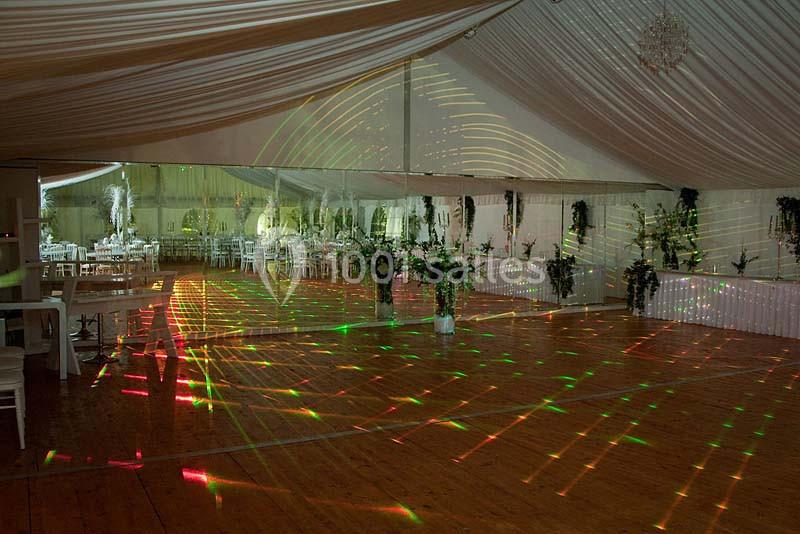 Salle de réception décorée avec des plantes et éclairée par des jeux de lumière colorés sur un parquet en bois.