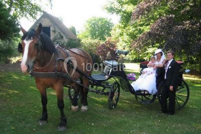 Abbaye De Villers-canivet - photo 5