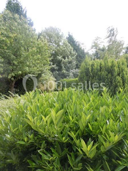 Le Jardin De Marolles - galerie - photo 19