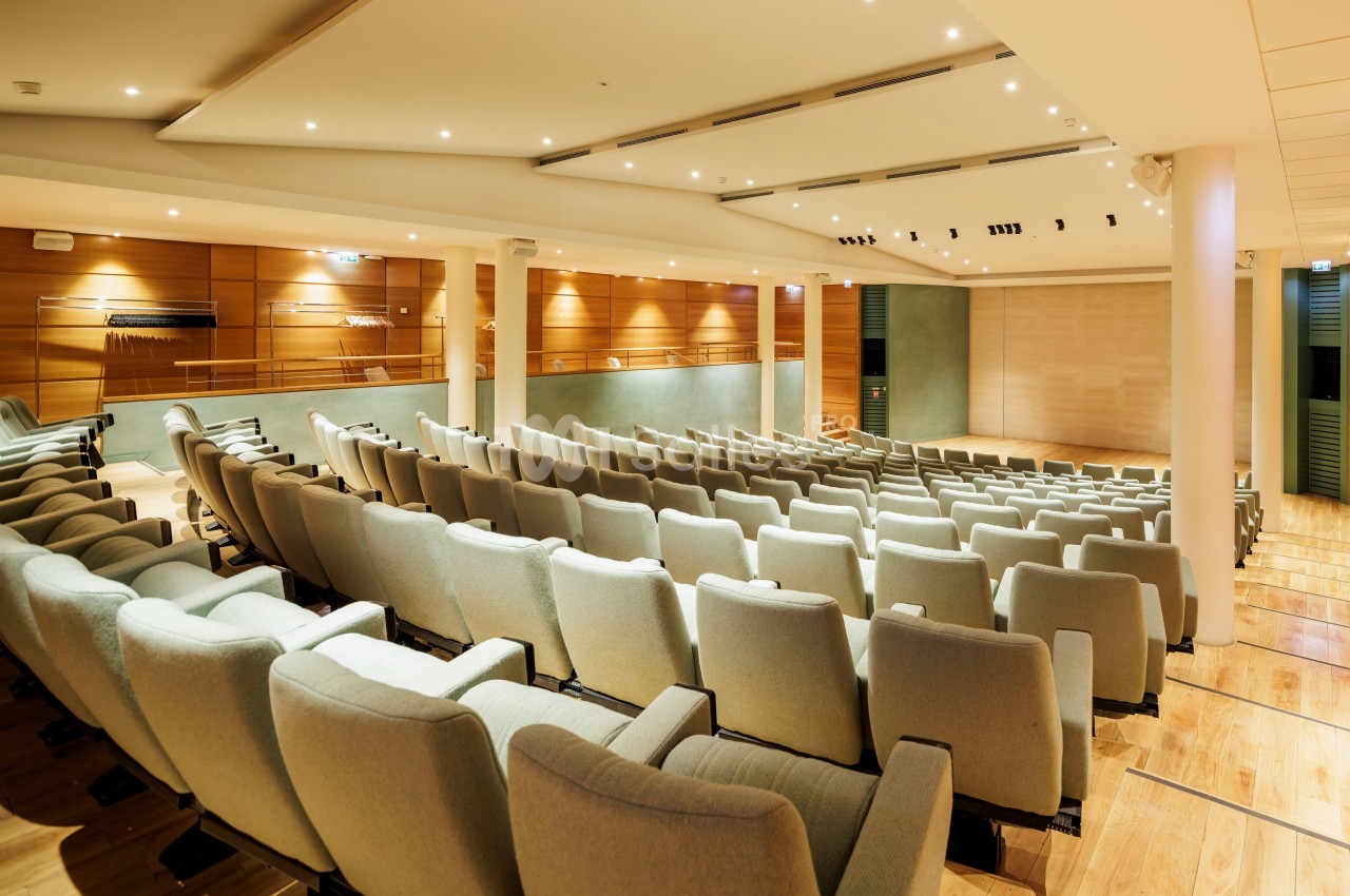 L'auditorium © Photo O. Martin Gambier