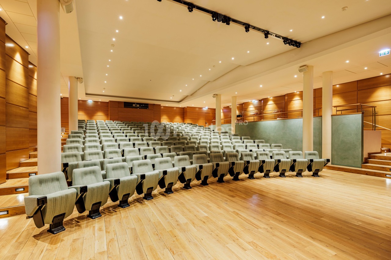 L'auditorium © Photo O. Martin Gambier