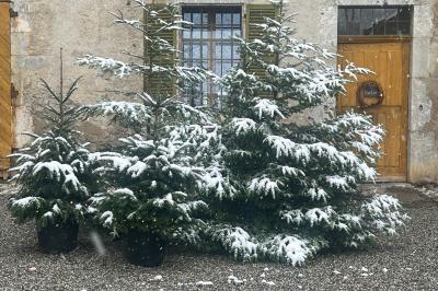 Miniature Location salle Giez (Haute-Savoie) - Ferme de Gy #19 Location salle Giez (Haute-Savoie) - Ferme de Gy #20