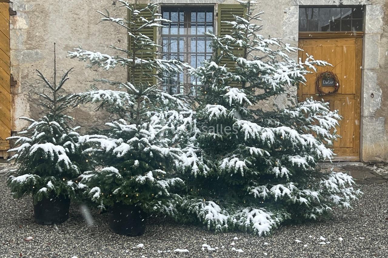 Location salle Giez (Haute-Savoie) - Ferme de Gy #19