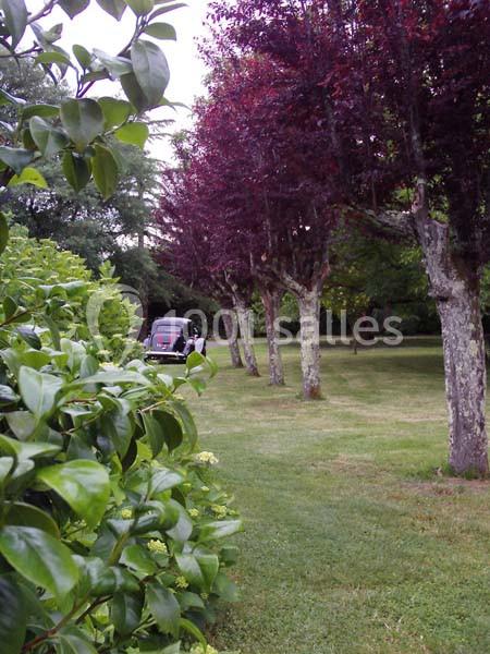 Une voiture ancienne noire garée sur une pelouse, bordée d'arbres et d'arbustes dans un jardin verdoyant.