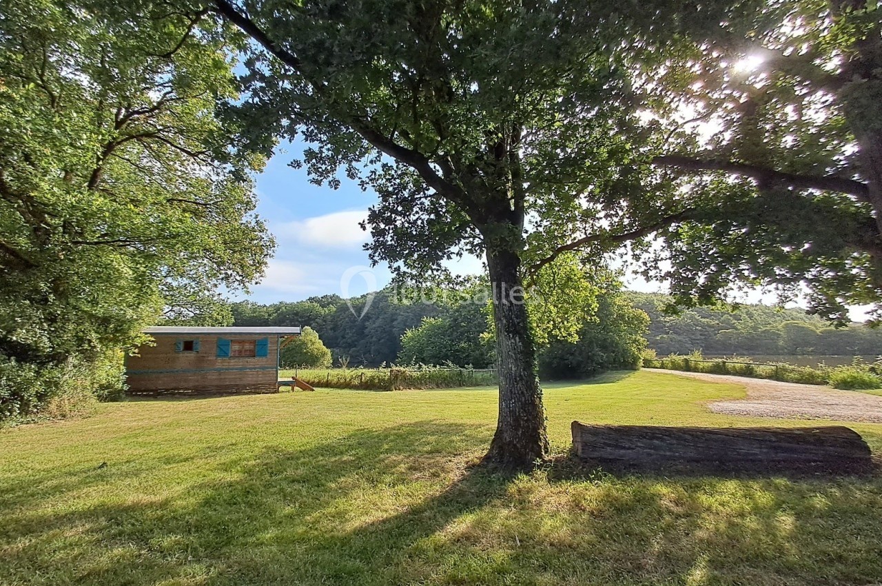 Un terrain herbeux ensoleillé avec des arbres, une cabane en bois et une souche au premier plan.