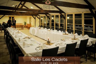 Location salle Artiguelouve (Pyrénées-Atlantiques) - Domaine du Cinquau #68