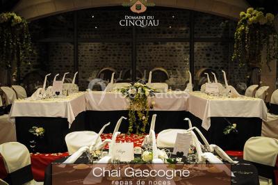 Location salle Artiguelouve (Pyrénées-Atlantiques) - Domaine du Cinquau #68